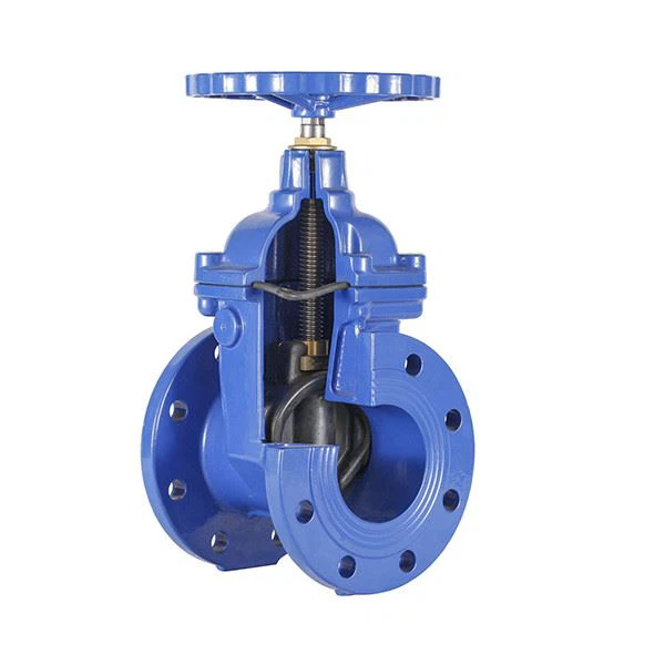 Ductile Cast Iron Gate Valve 3